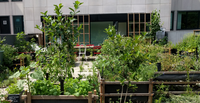 Terrasse Reinhardtstraße, Juni 2019