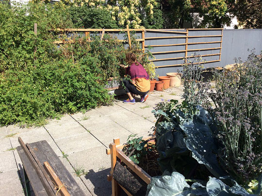 Gartenarbeit