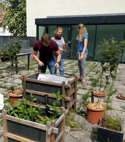 Gartenarbeit