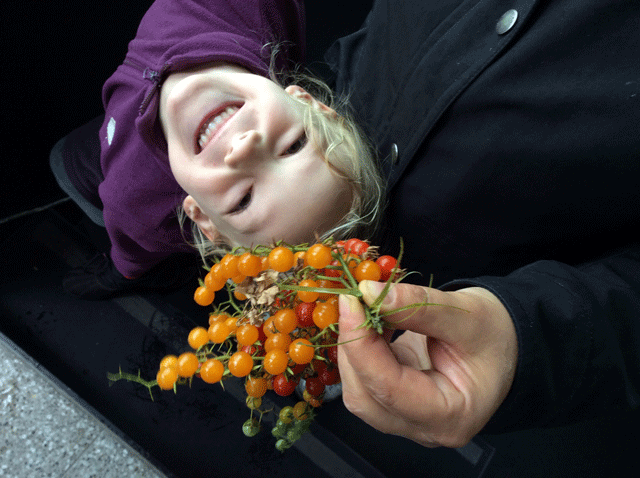 Kind und Tomaten im Oktober 2018 in Berlin Mitte