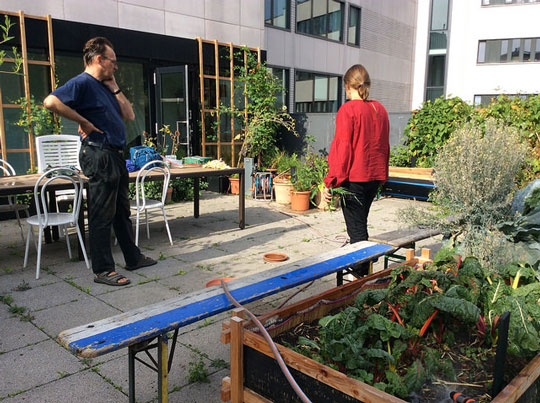 Gartenarbeiten