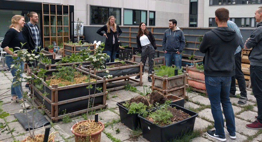 Vortrag auf der Terrasse Reinhardtstraße zum Thema urbane Gärten