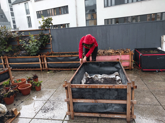 Beete bauen im Regen