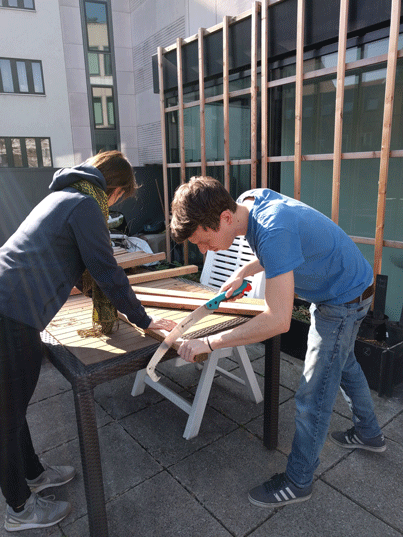Beeten bauen